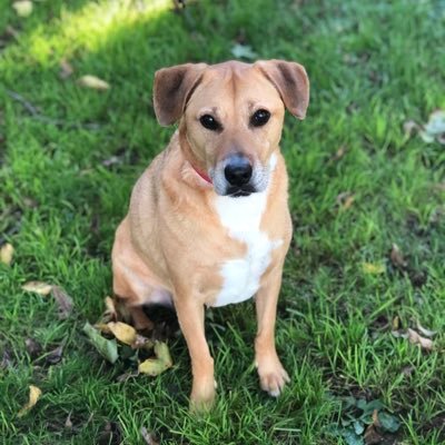 dwarren0221's profile picture. 