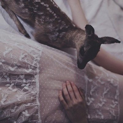 I was @xlachrymose, but unfortunately I haven’t been able to regain access to that account ; poetry lover ☼ ☽ ☾