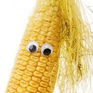 They accidentally gave me Twitter in an irreversible binding contract instead of Elon Musk, but I am just a simple cob. I give corn facts.