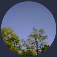 tnjudy ๐๐ปโ๏ธ๐บ๐ธ~To God be the Glory~ No DMs (@judy16996923) 's Twitter Profile