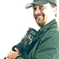 Steven Watkins (@theposby) 's Twitter Profile