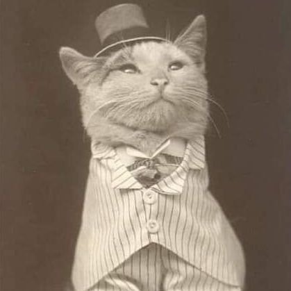 SRK11C's profile picture. Just some random internet guy.