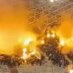 International Ultras (@ultrasint_) Twitter profile photo International Ultras (@ultrasint_) Twitter profile photo