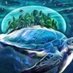 firebird graywolf (@firebirdgraywo1) Twitter profile photo firebird graywolf (@firebirdgraywo1) Twitter profile photo