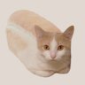 JauksBiedrs's profile picture.