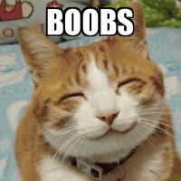 LivingLife (@finecreatures) 's Twitter Profile