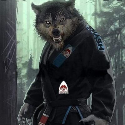 Artist NFT practicant al sportului,Jiu-Jitsu Brazilian, cunoscut și ca BJJ, după prescurtarea din limba engleză (Brazilian Jiu-Jitsu), este un sport de contact.