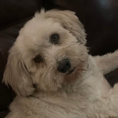 ArlanaNugent's profile picture. 