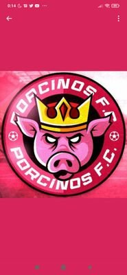 Grada de Animacion Porcinos FC👊🏽🐷