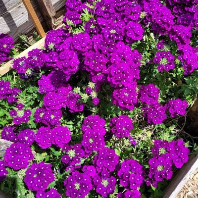 JamesSt99613751's profile picture. 