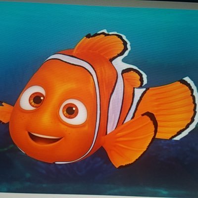 KqtranTX's profile picture. 