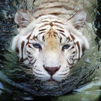 Maria day (@mariada42794846) 's Twitter Profile