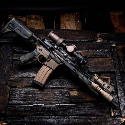 Pro2AMO's profile picture. Constitutional Conservative. 2nd Amendment Hawk and Free Speech zealot. Sheepdog, Warrior Poet  and defender of the good and pure. DM's loved!