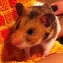 Kaye Griffiths - @penny_drops77 - Twitter