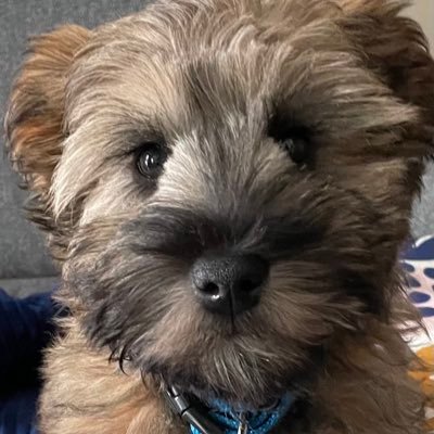 IdeasTakingShap's profile picture. Delivering success through partnership while relishing living life