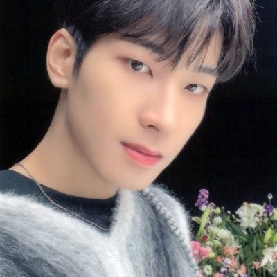 wonwooonisasi Profile Picture