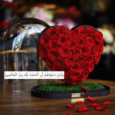 خذ هذا البيت على أنه شعار لحياتك :