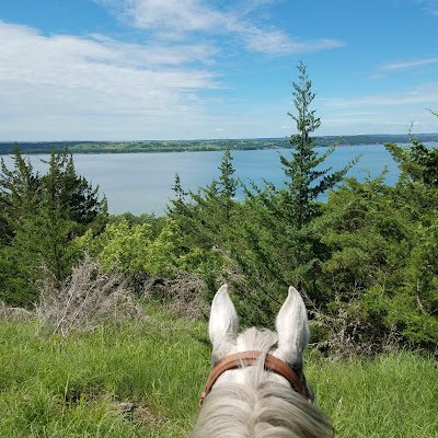 JanSchiferl's profile picture. I'm a singer, songwriter,  speaker and follower of Jesus who wears cowboy boots, carries a guitar around and likes to spend time in the barn!