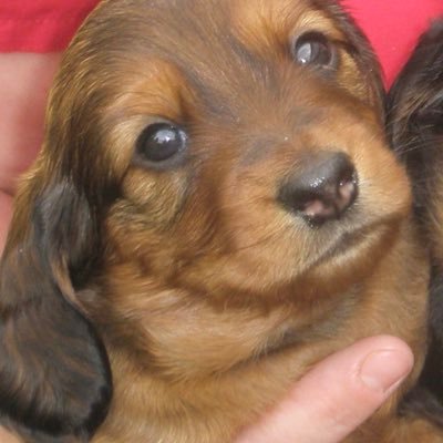 Babbs1065's profile picture. 