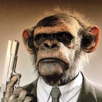 Trunk Monkey (@trunkmonkey888) 's Twitter Profile Photo