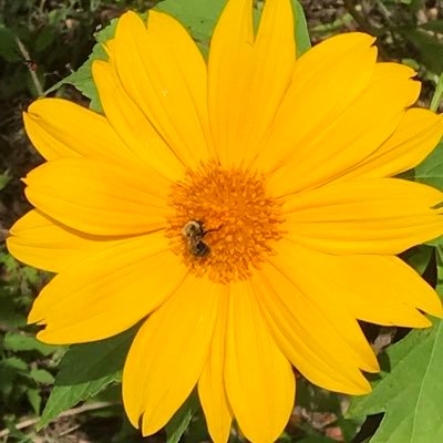 PerdidoAtlantic's profile picture. 