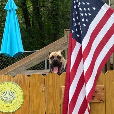 smiser29's profile picture. Mountain bikes, dirtbikes, workinout, for a old guy