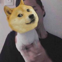 Dogecoin-zxtz(@dAxWDzwnSiiAczc) 's Twitter Profile Photo