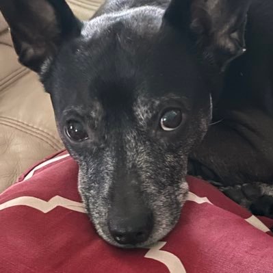 ACSsunshine14's profile picture. 