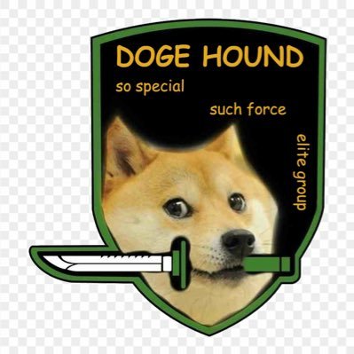 Doge Intelligence.