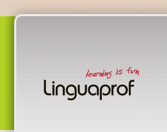 Online& in person IELTS, CAE, TOEFL, Medical, Business English, ESL, Hungarian& Romanian trainer at Linguaprof