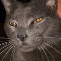 Jim Jackson (@jimjnavy) 's Twitter Profile