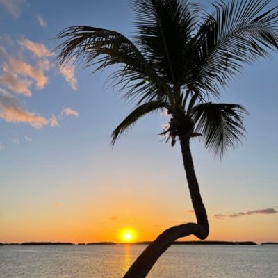 Amazingseeker2's profile picture. 