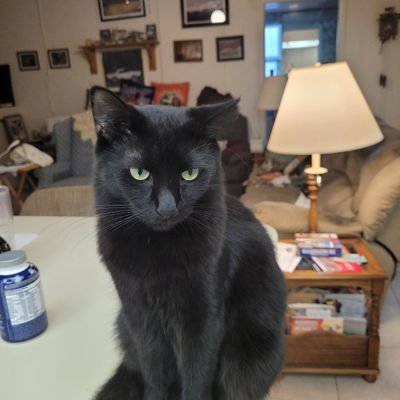 maurine_munro's profile picture. Wife, Roman Catholic, retired RN, addicted to books