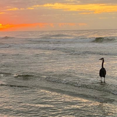 GranJeJe79's profile picture. 