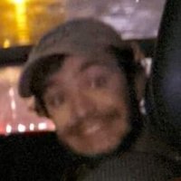 L-P (@lpgig) 's Twitter Profile