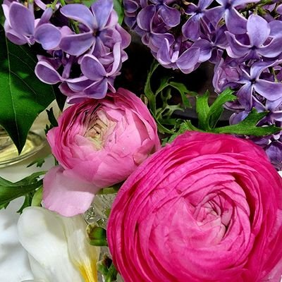 GertyStu59's profile picture. 