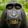 Capt_Duckky's profile picture. 