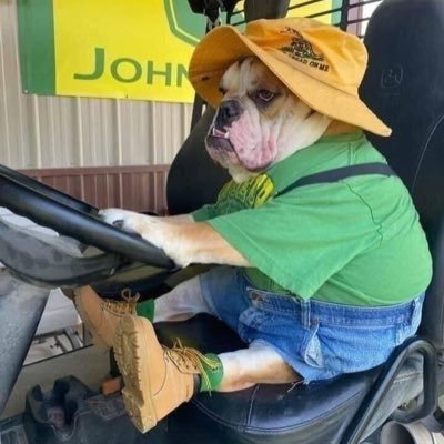 Bzybee20's profile picture. Fed up with our out of control government.