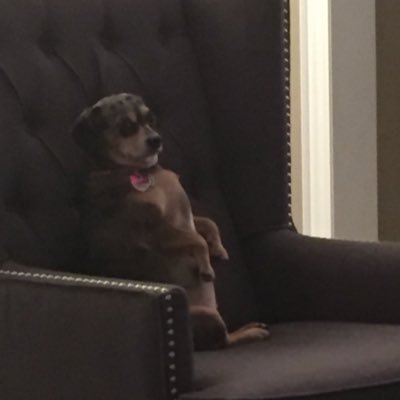 PattesonBrian's profile picture. 