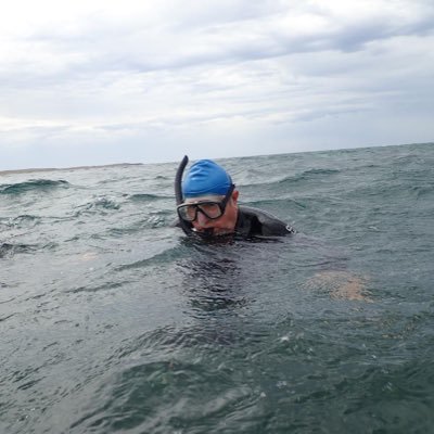 pulaudamar12's profile picture. 