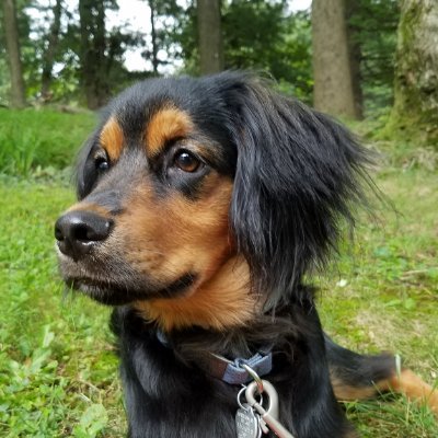 myenick's profile picture. 