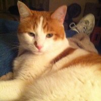 Charlotte Chapman (@charlotte330003) 's Twitter Profile