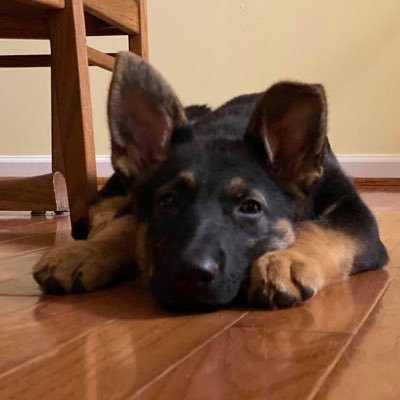 afaye418's profile picture. 