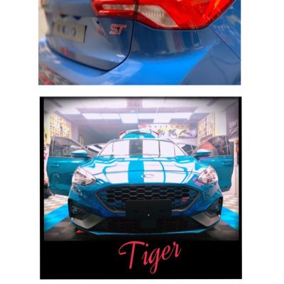 TigerHou5978's profile picture. 