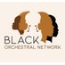 Black Orchestral Network (@BlackOrchestral) Twitter profile photo