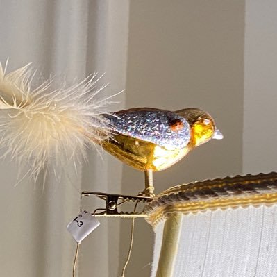 PaliR79053185's profile picture. Proud wife, mother, grandmother living American dream.