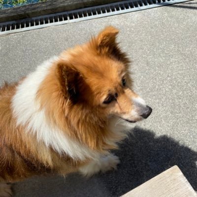 0102rimi's profile picture. りっつの建築学生