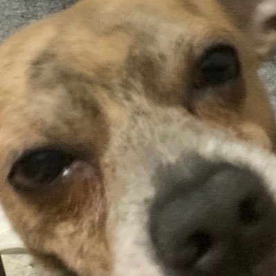 MamaStormus's profile picture. Level 21  They/Them/Their