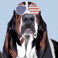 Hound Dawg 🇺🇸🐶🍊 (@hounddawg6) 's Twitter Profile