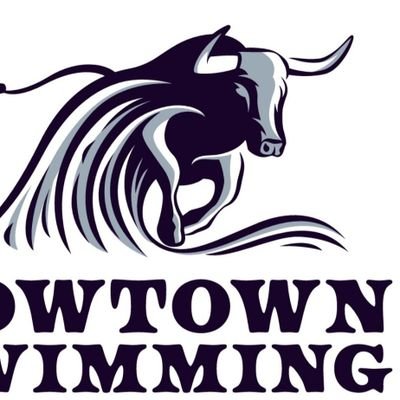 CowtownSwimming's profile picture. Cowtown Swimming is a new Masters Swimming Team in Fort Worth. We are the only virtual team that allows swimmers to swim when they want and where they want!